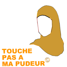 Pourquoi le hijab ?